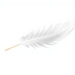 Een zwevende witte veer straalt rust en mysterie uit.
