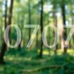 Een rustig bos met het nummer 0707 suggereert spirituele begeleiding.