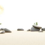 Een serene Zen-tuin met gladde stenen en fijn zand.